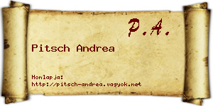Pitsch Andrea névjegykártya
